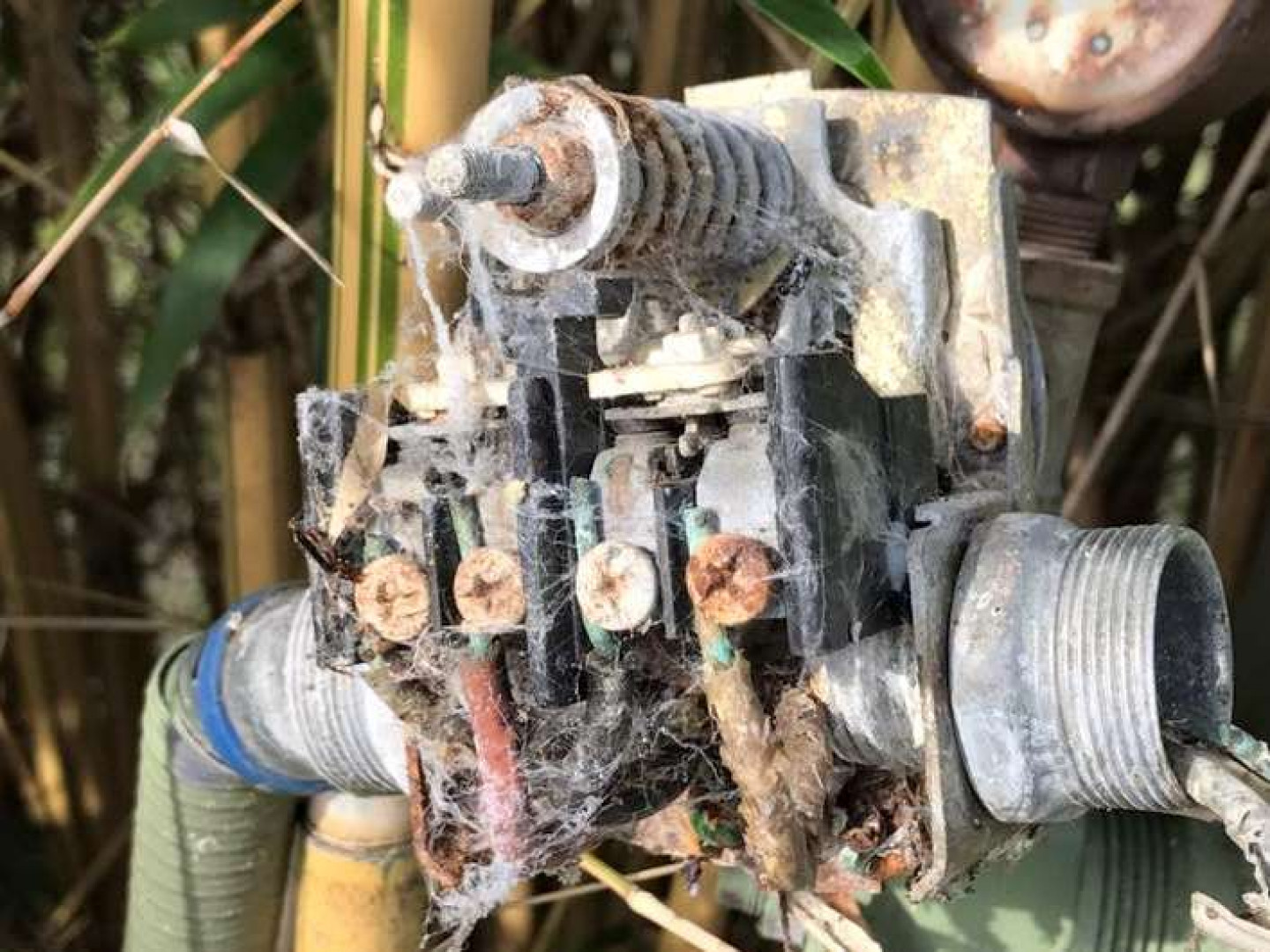 Well Repair Services Pump Replacement in Gainesville, FL Dampier